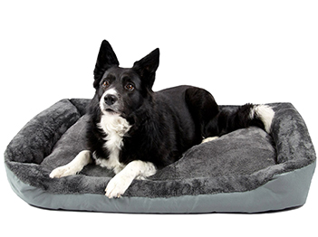 For pets